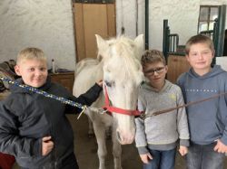 25-10-06 14-26-28 7391